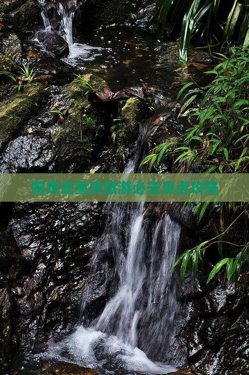 阳泉去重庆必去地