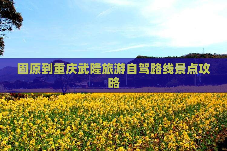 固原到重庆武隆自由行