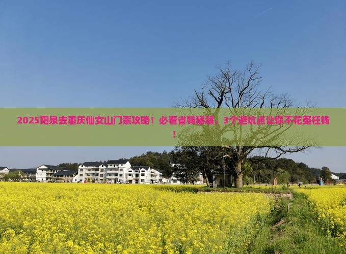 阳泉去重庆仙女山门票