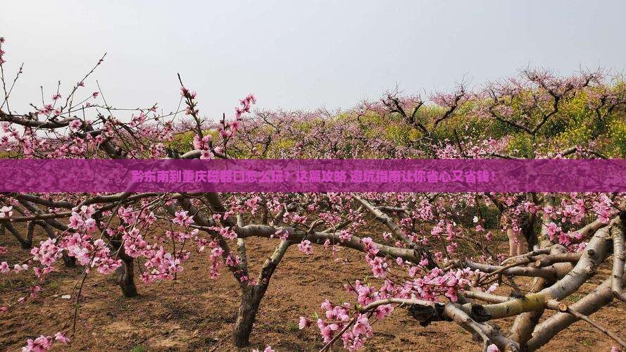 黔东南到重庆磁器口旅行社
