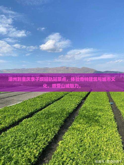 潮州到重庆李子坝轻轨站景点