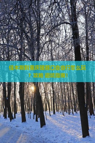 佳木斯到重庆磁器口自由行