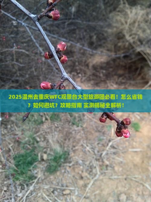 温州去重庆wfc观景台大型旅游团