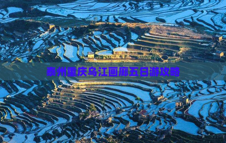 泰州去重庆乌江画廊五日游