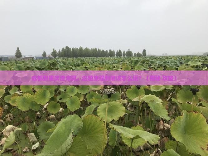 成都到重庆渣滓洞哪里玩