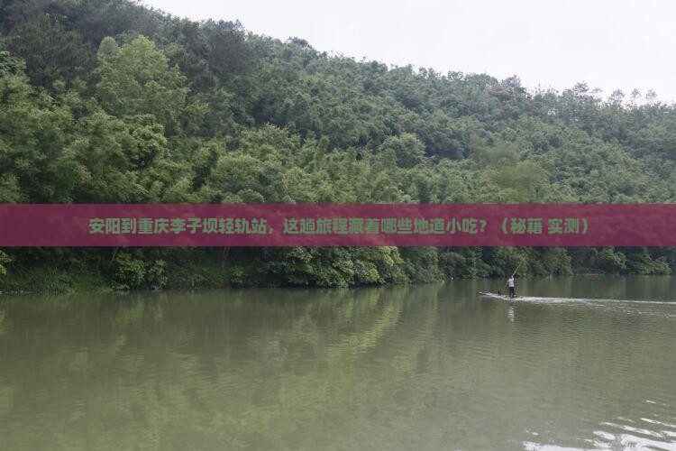 安阳到重庆李子坝轻轨站旅游小吃