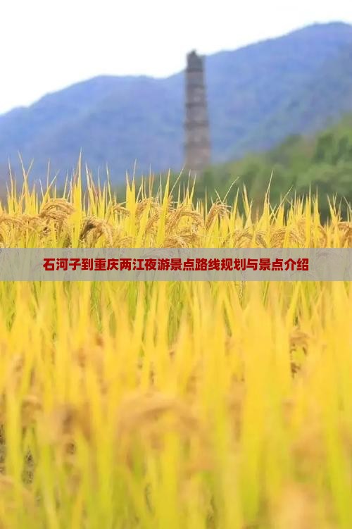 石河子到重庆两江夜游景点