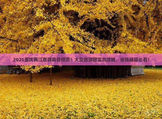 元旦去重庆两江夜游大型旅游团 元旦去重庆两江夜游大型旅游团