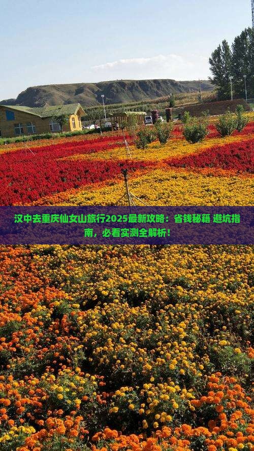 汉中去重庆仙女山旅行社