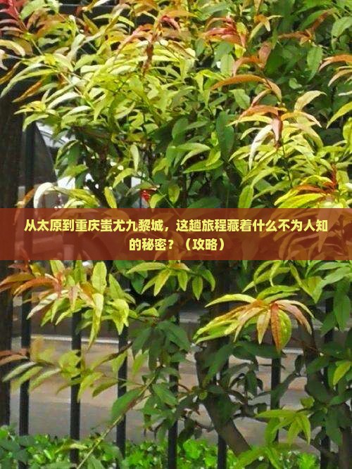 太原到重庆蚩尤九黎城景点