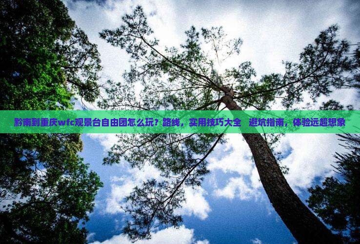 黔南到重庆wfc观景台自由团