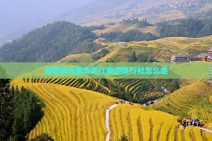 景德镇去重庆两江夜游旅行社