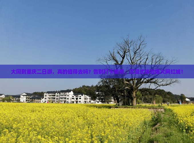 大同到重庆二日游