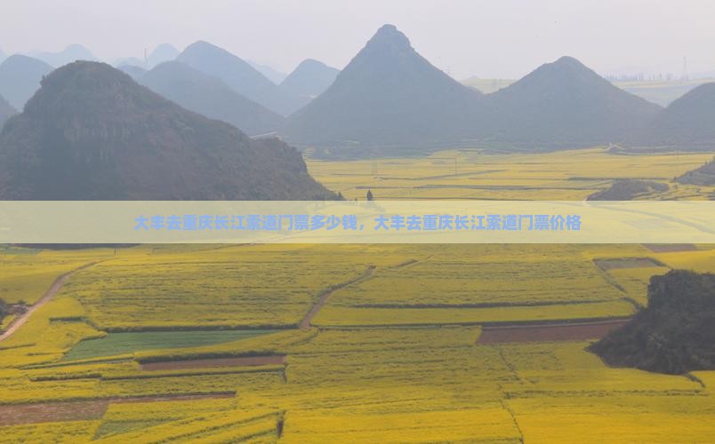 大丰去重庆长江索道门票