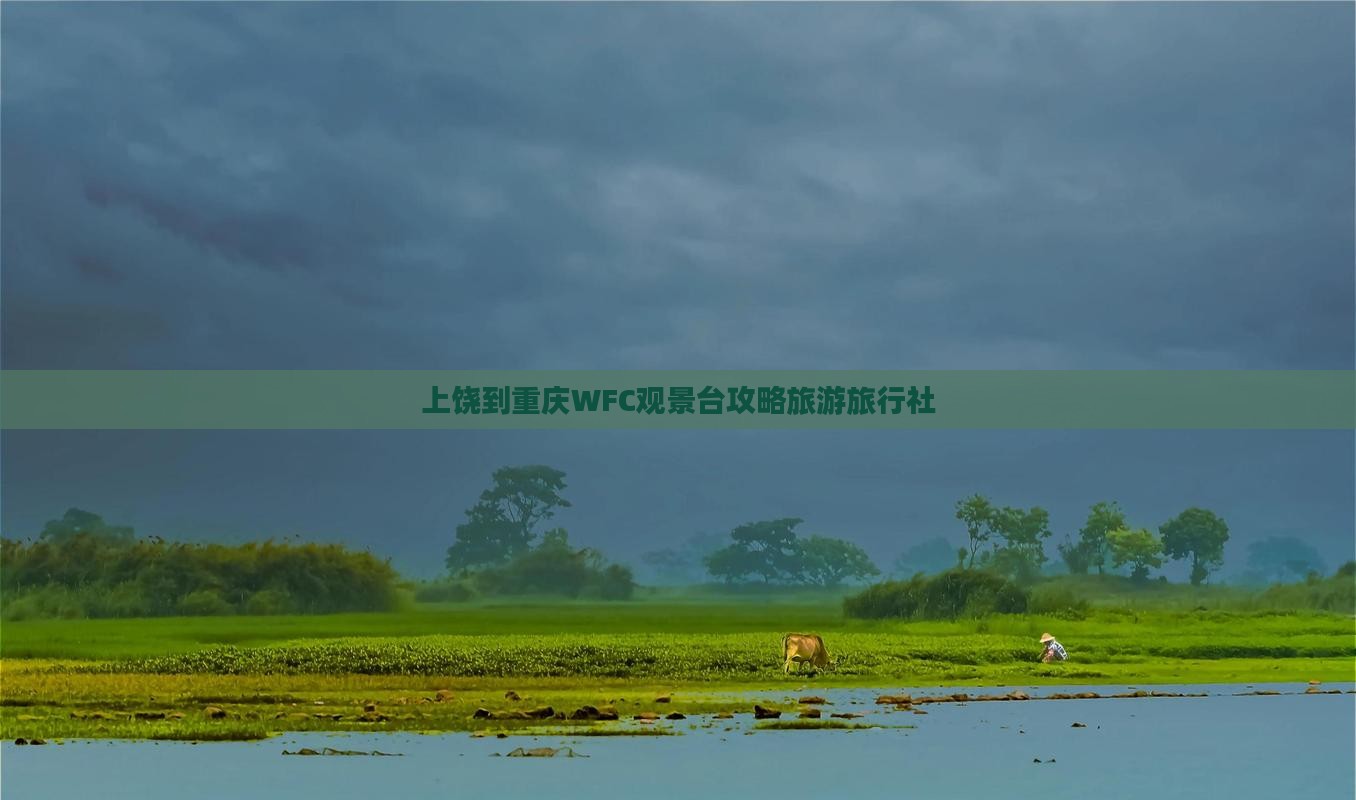 上饶到重庆wfc观景台旅行社