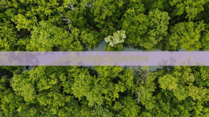 绥化去重庆长江索道旅行社