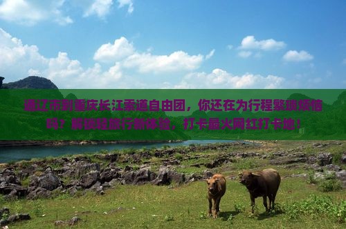 通辽市到重庆长江索道自由团