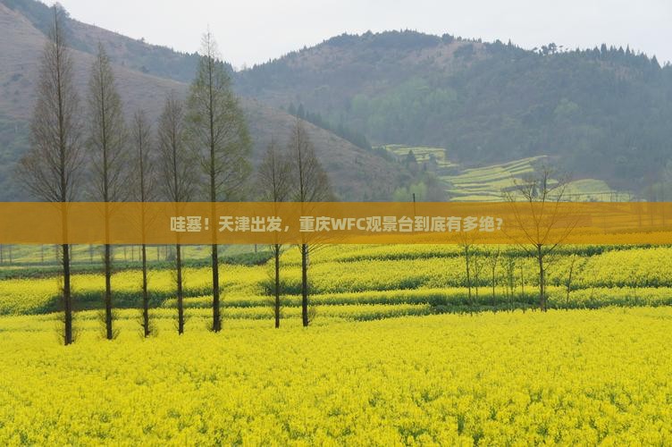 天津到重庆wfc观景台景点