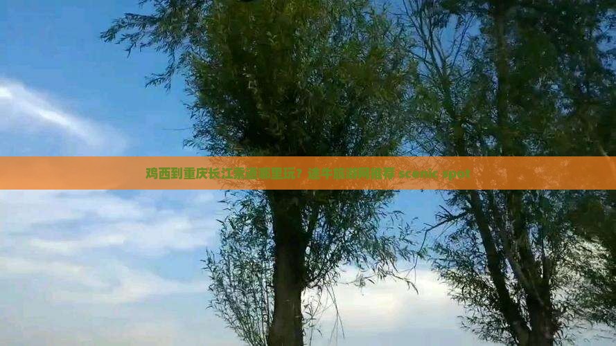 鸡西到重庆长江索道哪里玩