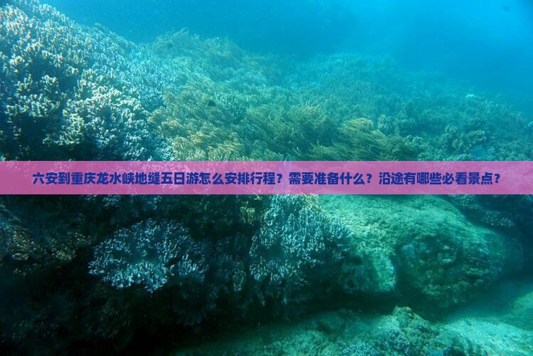 六安到重庆龙水峡地缝五日游