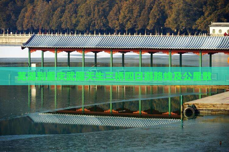 芜湖到重庆武隆天生三桥四日游
