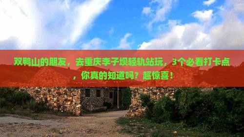 双鸭山去重庆李子坝轻轨站景点