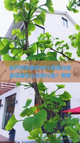 开封到重庆wfc观景台旅游 开封到重庆wfc观景台旅游
