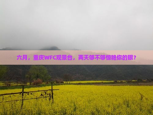 六月去重庆wfc观景台二日游