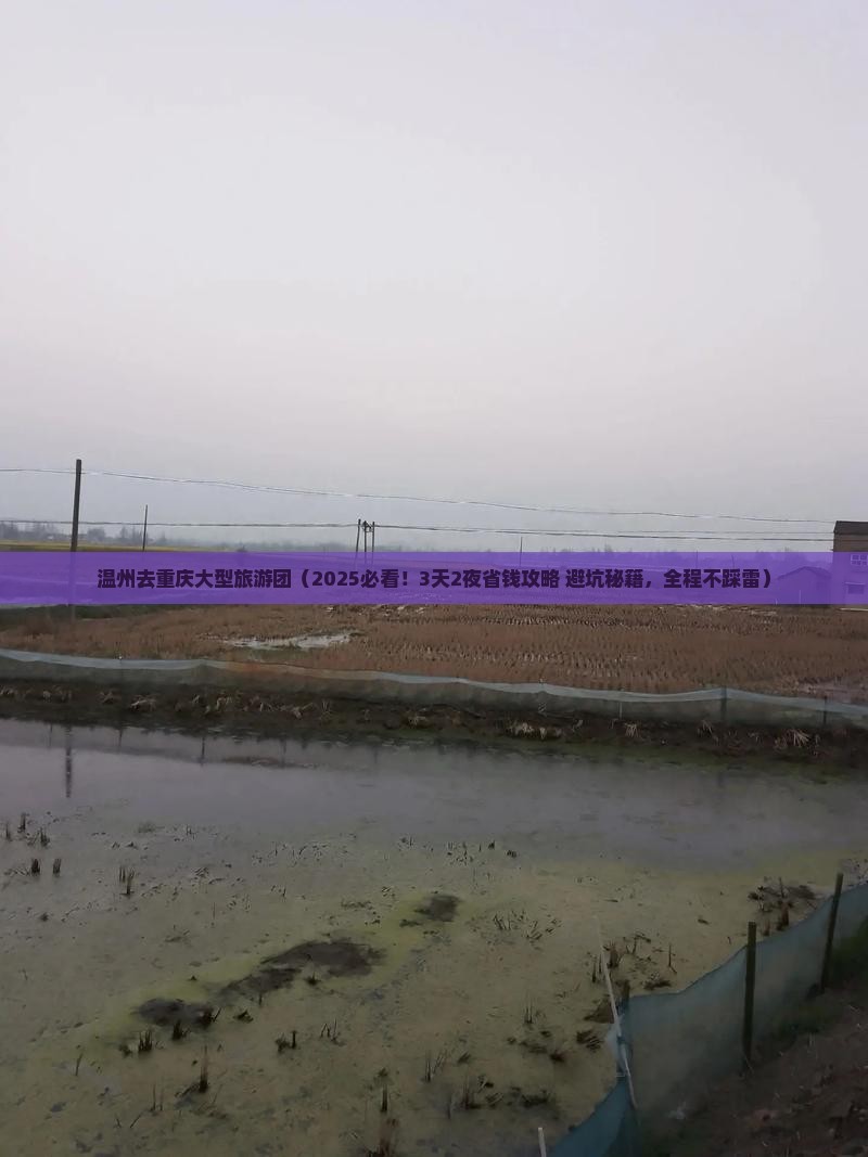 温州去重庆大型旅游团