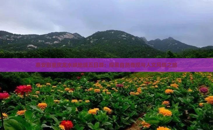 泰安到重庆龙水峡地缝五日游