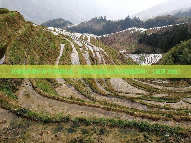 烟台到重庆李子坝轻轨站必去地