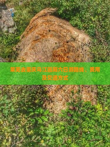 莱芜去重庆乌江画廊六日游 莱芜去重庆乌江画廊六日游