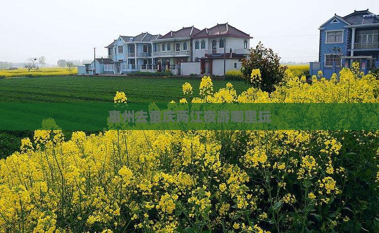 惠州去重庆两江夜游哪里玩