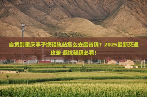 自贡到重庆李子坝轻轨站旅行社