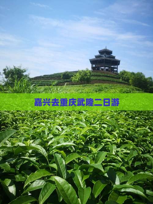 嘉兴去重庆武隆二日游