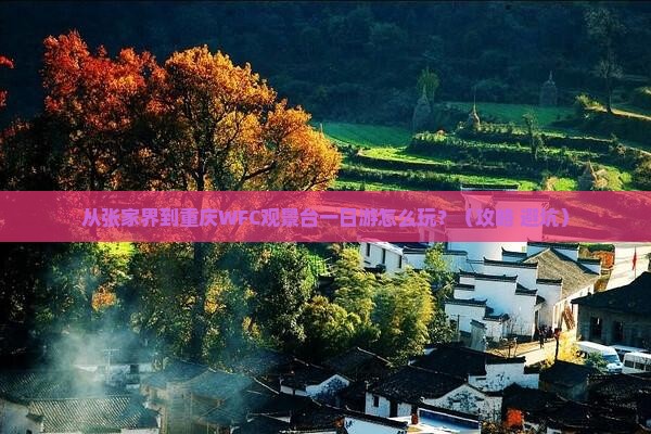 张家界到重庆wfc观景台一日