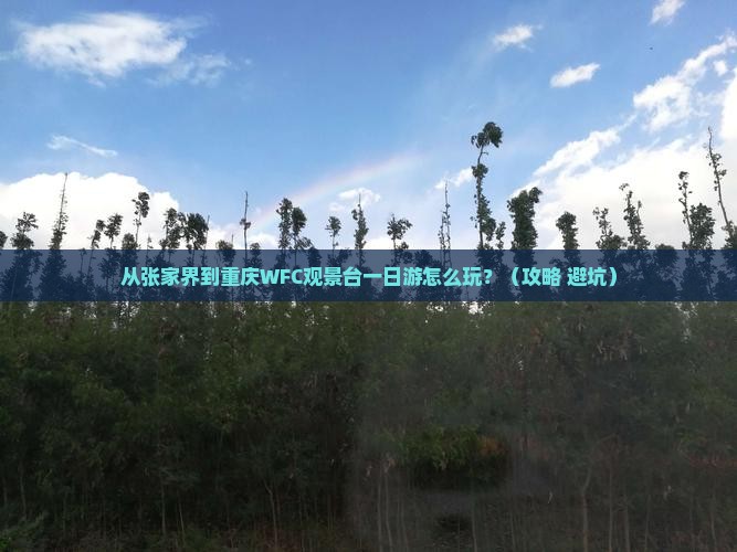 张家界到重庆wfc观景台一日