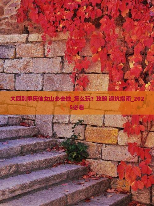大同到重庆仙女山必去地