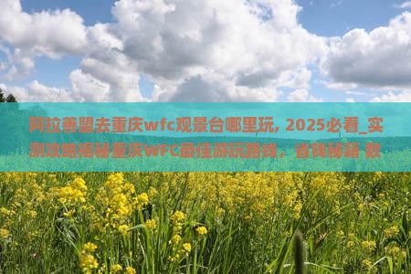阿拉善盟去重庆wfc观景台哪里玩