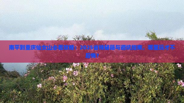 南平到重庆仙女山哪里玩
