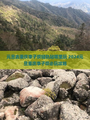 元旦去重庆李子坝轻轨站哪里玩