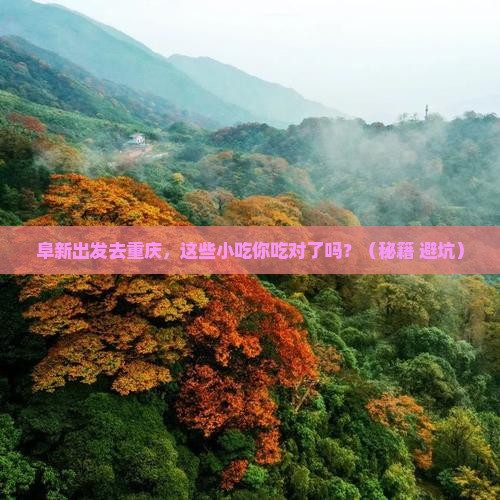阜新去重庆旅游小吃