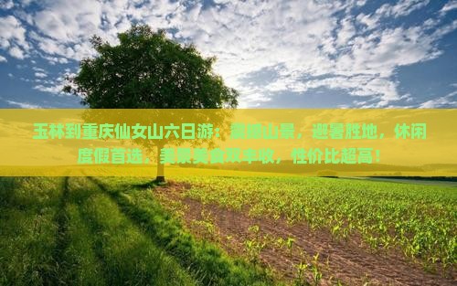 玉林到重庆仙女山六日游