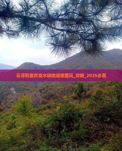 云浮到重庆龙水峡地缝哪里玩