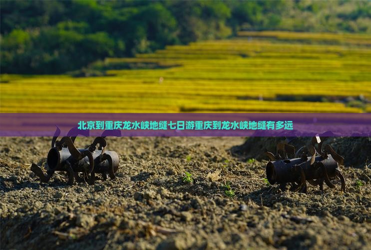北京到重庆龙水峡地缝七日游