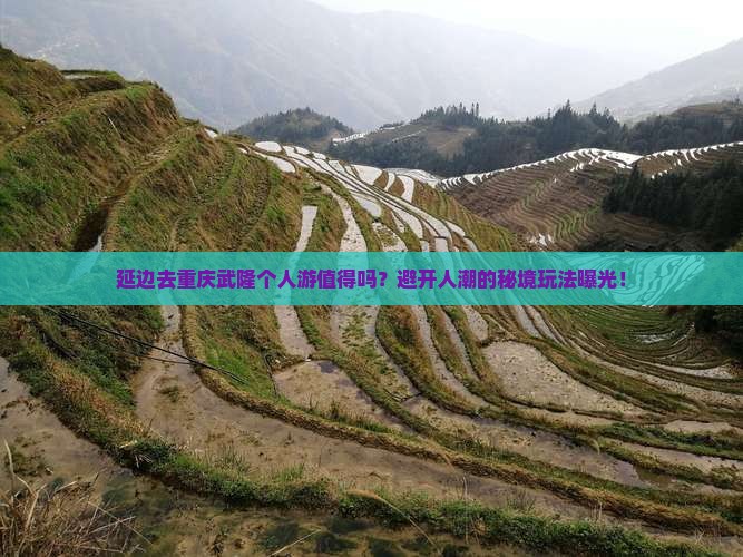 延边去重庆武隆个人游