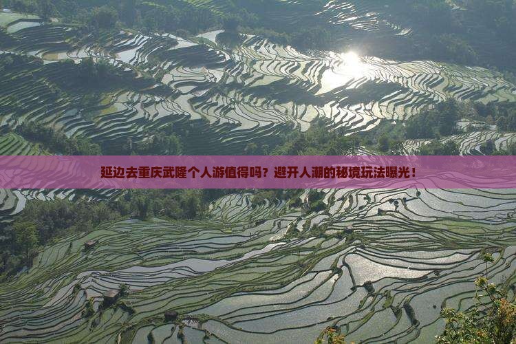 延边去重庆武隆个人游