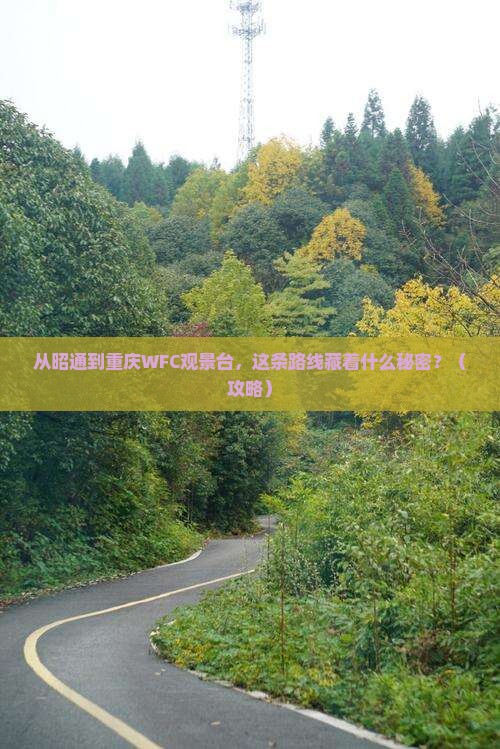 昭通到重庆wfc观景台必去地