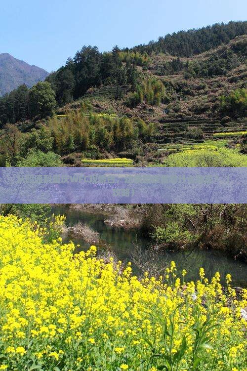 昭通到重庆wfc观景台必去地