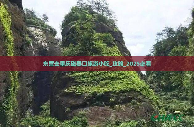 东营去重庆磁器口旅游小吃